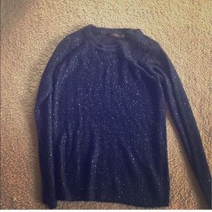 ๐ถ๐ The Limited - Pretty sweater with sequins